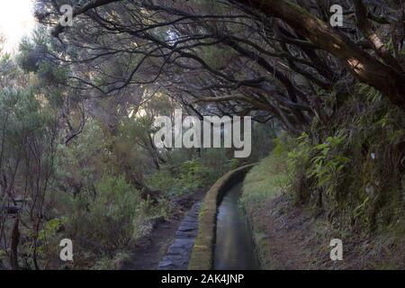 Auf Der Weg bei Levada-Wanderung Rabacaul, Madeira, Portugal | conditions dans le monde entier Banque D'Images