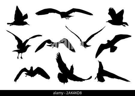 Jeu de silhouettes seagull flying noir isolé sur fond blanc. Collection de mouettes et goélands cartoon mer télévision silhouette. Vecteur Stock Illustration de Vecteur