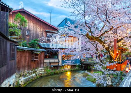 Kyoto, Japon lors de la rivière Shirakawa dans le district de Gion durant la saison printemps cherry blosson. Banque D'Images