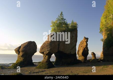 Rochers de Hopewell Rocks (pot de fleur) bei Ebbe suis Hopewell Cape an der baie de Fundy, dans le monde d'utilisation Kanada Osten | Banque D'Images