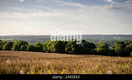 Les champs agricoles et forestiers dispersés remplit la vallée de l'UCK dans l'East Sussex Weald, vu de l'Hadlow Down. Banque D'Images