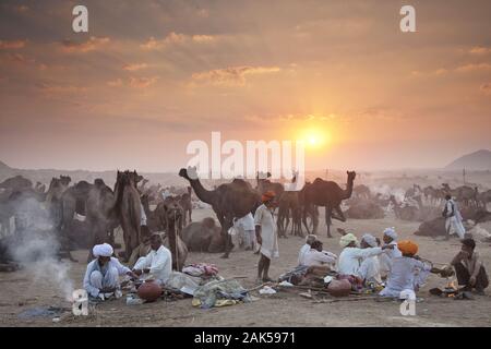 Bundesstaat Rajasthan : Pushkar, Kamelmarkt Pushkar-Mela jaehrlichen waehrend der zum, Novembervollmond dans le monde Indien | Conditions Banque D'Images