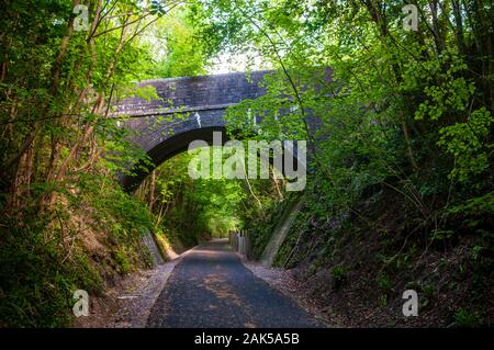 Une vieille brique arch pont traverse la vallée de Loncombe, un chemin de fer construit pour la coupe de Somerset et de Dorset et de chemin de fer qui fait maintenant partie de la Deux tunnels Greenway Banque D'Images