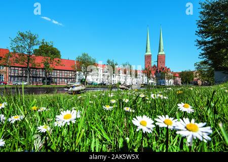 Luebeck : Blumenwiese an der Trave mit Blick auf den Dom, Ostseekueste dans le monde d'utilisation | Banque D'Images