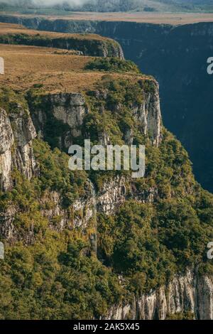 Fortaleza Canyon aux falaises rocheuses escarpées couvertes de forêts et chute près de Cambara do Sul. Une ville avec des attractions touristiques naturelles dans le sud du Brésil. Banque D'Images