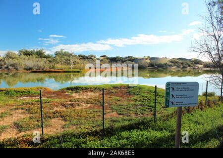 Avis d'une section de la réserve naturelle près de la grande dunes de sable de Maspalomas, Gran Canaria. Banque D'Images