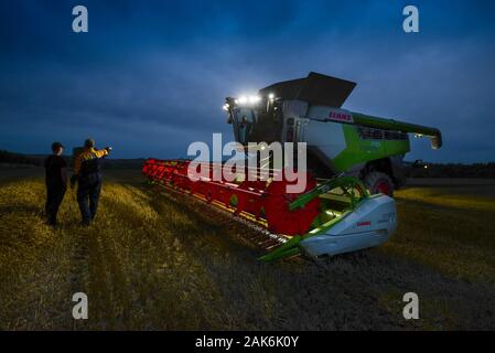 Nouvelle classe de marque 770 rendmt Lexion moissonneuse-batteuse avec l'agriculteur en donnant des instructions à l'un des ouvriers agricoles qu'ils récoltent le blé sur un soir d'été. Banque D'Images