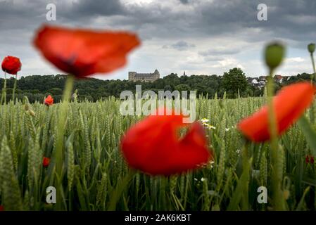 Bueren : Blick vom Almetal auf die Wewelsburg, Renaissanceschloss und Deutschlands unique, Dreiecksburg Teutoburger Wald | conditions dans le monde entier Banque D'Images