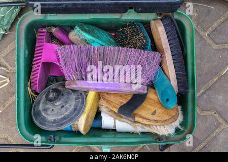 Boîte en plastique vert rempli d'un tas de vieux, usé, colorée toilettage brosses pour chevaux - Descendante vue, télévision lay, format horizontal Banque D'Images