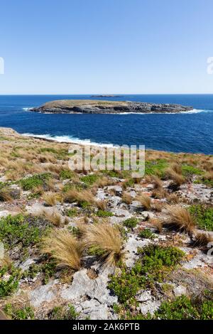 Kangaroo Island Australie paysage ; les îlots Casuarina aka les frères, à l'extrémité ouest de Kangaroo Island Australie du Sud Banque D'Images