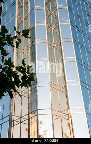 Fin d'après-midi se reflète sur les tours de bureaux à Burnaby, BC Banque D'Images