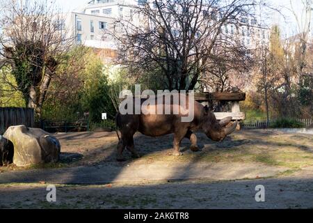 Les animaux, la faune et les paysages au zoo de Francfort am Main Allemagne Banque D'Images