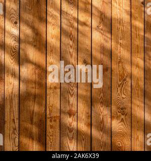 Mur de planches en bois dans l'ombre la moitié des branches d'arbre - texture background Banque D'Images