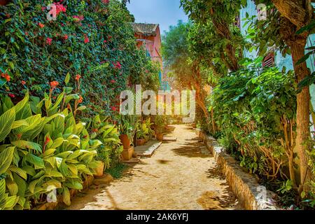 Rue sur l'île de Gorée, au Sénégal, en Afrique. Ils sont envahis par les maisons en pierre de couleur verte avec de nombreuses fleurs. C'est l'un des premiers Banque D'Images