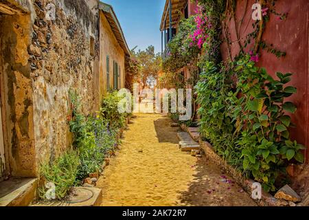 Rue sur l'île de Gorée, au Sénégal, en Afrique. Ils sont envahis par les maisons en pierre de couleur verte avec de nombreuses fleurs. C'est l'un des premiers Banque D'Images