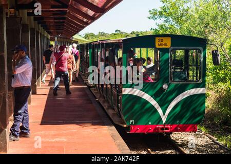 Puerto Iguazu, Argentine - Circa Novembre 2019 : Jungle écologique Train au Parc National d'Iguazu Banque D'Images