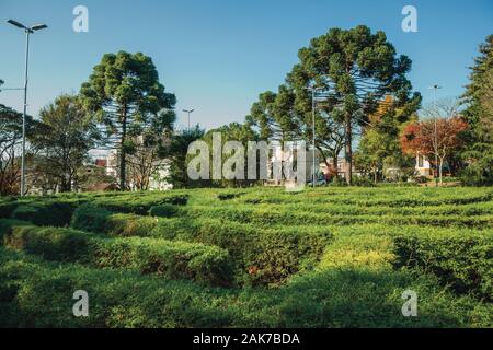 Maze faite d'arbustes à feuilles persistantes dans un jardin luxuriant aux beaux jours à Nova Petropolis. Une ville fondée par des immigrants allemands dans le sud du Brésil. Banque D'Images