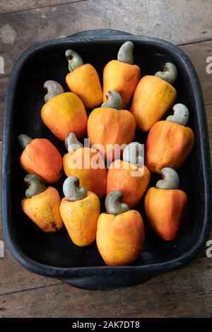 Recife, 29/12/2020. Fruits tropicaux de cajou au nord-est du Brésil. Banque D'Images