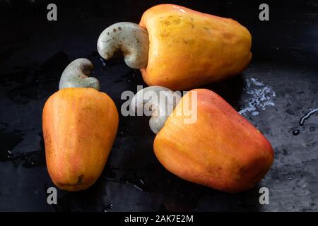 Recife, 29/12/2020. Fruits tropicaux de cajou au nord-est du Brésil. Banque D'Images