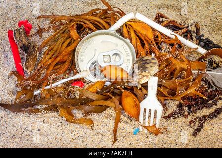 Utilisation unique réel des déchets en plastique, paille, fourchette, les boissons peuvent, trouvés échoués sur la plage avec des algues et des objets naturels, la pollution plastique dans l'océan et la beac Banque D'Images