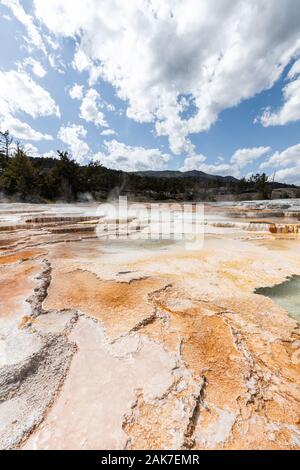 Terrasses à Mammoth Hot Springs dans le Parc National de Yellowstone, Wyoming, USA Banque D'Images