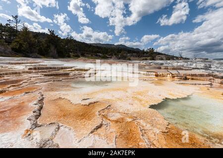 Terrasses à Mammoth Hot Springs dans le Parc National de Yellowstone, Wyoming, USA Banque D'Images