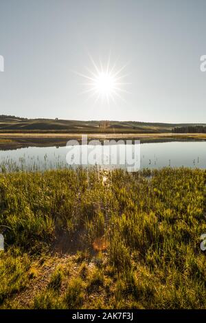 Matin lever du soleil sur la rivière Yellowstone à Hayden Valley, le Parc National de Yellowstone, Wyoming, USA Banque D'Images