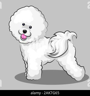 Bichon Frize chien blanc isolée à un fond de couleur Illustration de Vecteur