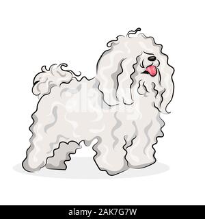 Bichon Frize chien blanc isolée à un fond de couleur Illustration de Vecteur