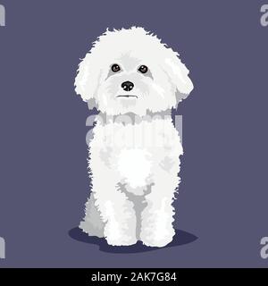 Bichon Frize chien blanc isolée à un fond de couleur Illustration de Vecteur