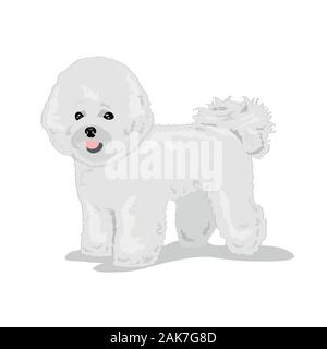 Bichon Frize chien blanc isolée à un fond de couleur Illustration de Vecteur