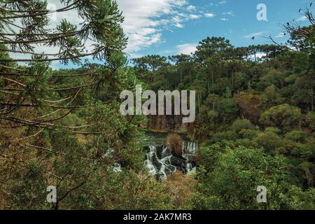 Chute d'eau d'une rivière au milieu d'une forêt dans un jour nuageux au Caracol Park près de Canela. Une charmante petite ville dans le sud du Brésil. Banque D'Images