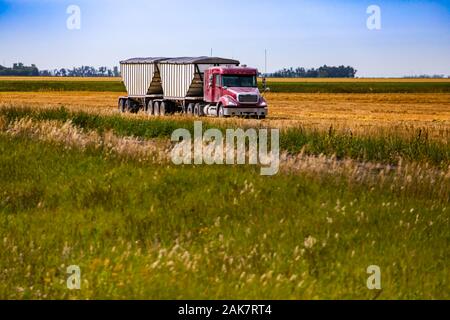 Un grand angle de visualisation d'un camion rouge tirant deux grandes remorques à travers les terres agricoles en Alberta, Canada. L'agronomie et l'agro concept with copy space Banque D'Images