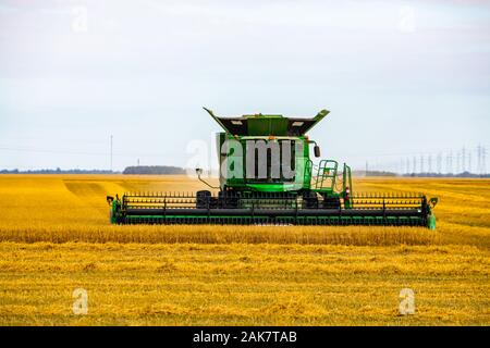 Un grand angle et Vue de face d'un grand travail de moissonneuse-batteuse pendant la saison des récoltes, la collecte et le transport des récoltes with copy space Banque D'Images