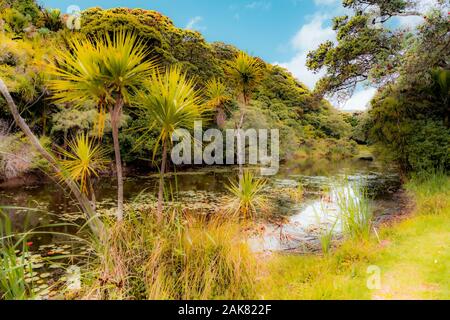 Vues menant à Kitekite Falls, Piha, Nouvelle-Zélande Banque D'Images