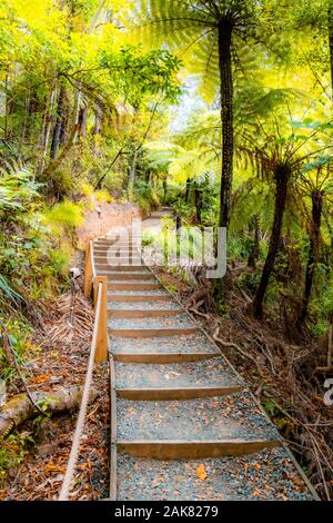 Vues menant à Kitekite Falls, Piha, Nouvelle-Zélande Banque D'Images