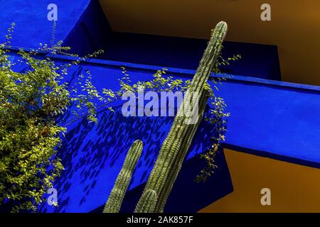 Vue sur la villa avec la célèbre couleur bleu cobalt au centre du jardin Majorelle.Maroc,Marrakech.détail avec cactus. Banque D'Images