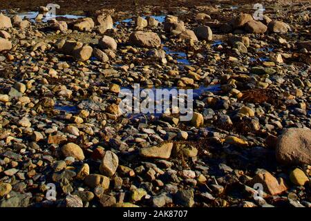 Les roches, Marazion, Cornwall, Angleterre. Banque D'Images