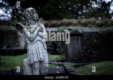 KILKENNY, IRLANDE, LE 23 DÉCEMBRE 2018 : Sculpture d'un vieil Ange chérubin creepy au milieu d'un cimetière, plein de lichen et moule, tenant sa poitrine Banque D'Images