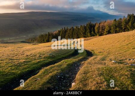 Conistone est un petit village dans le district de Craven, North Yorkshire, Angleterre. Il se trouve à 3 miles au nord de Grassington, 3 miles au sud de Kettlewell et Banque D'Images