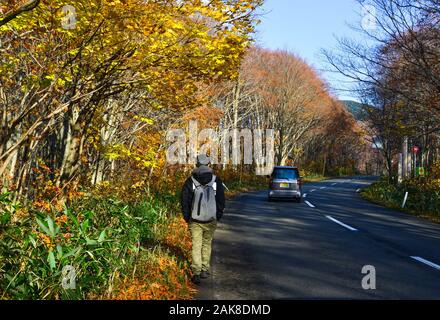 D'Aomori, Japon - Nov 4, 2019. Décor de l'automne d'Aomori, au Japon. D'Aomori, la préfecture la plus au nord de l'île principale, est un endroit incroyable pour chasser f Banque D'Images