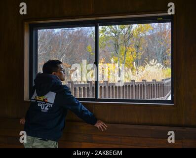 D'Aomori, Japon - Nov 4, 2019. Asian man traveler bénéficiant d'automne en forêt Montagnes Hakkoda, Aomori, Japon. Banque D'Images