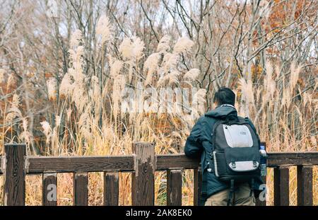 D'Aomori, Japon - Nov 4, 2019. Asian man traveler bénéficiant d'automne en forêt Montagnes Hakkoda, Aomori, Japon. Banque D'Images