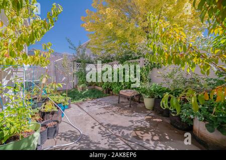 Petit jardin privé avec des plantes en pot Banque D'Images