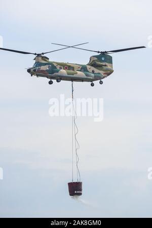 Tokyo, Japon - Nov 3, 2019. Kawasaki CH-47 Chinook J d auto-défense de l'air (JASDF) volant pour affichage à l'Iruma Air Base (RJTJ) dans le sait Banque D'Images