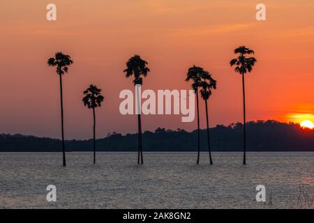 Magnifique Coucher de soleil dans le réservoir, voir de Malampuzha Kava view point Palakkad,Kerala en Inde. Le kava est un petit village dans le district de Palakkad Kerala stat Banque D'Images