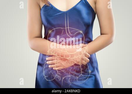 La photo de l'estomac et le gros intestin est sur le corps de la femme contre l'arrière-plan gris, les personnes ayant des problèmes d'estomac, concept anatomie féminine Banque D'Images