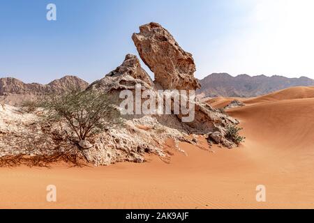 Rock formation dans le désert (qui ressemble à un Sphinx), Sharjah, Émirats arabes unis, ÉMIRATS ARABES UNIS, Moyen Orient, Péninsule Arabique Banque D'Images