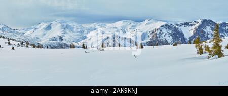 Profitez de la magnifique paysage de neige du plateau de montagne de Feuerkogel avec sapins et vue magnifique sur les pentes alpines sur arrière-plan, Ebens Banque D'Images