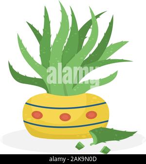 L'Aloe Vera dans un pot jaune. Accueil Les plantes médicinales. Illustration vecteur de création. Illustration de Vecteur